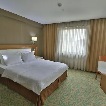 Selcuk מלון קוניה