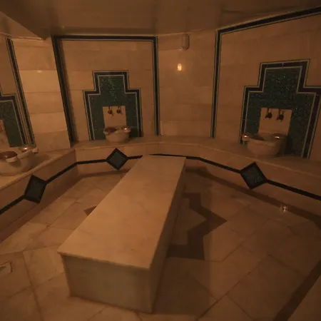 Selcuk מלון קוניה